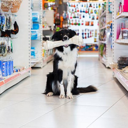 Pet Shop
